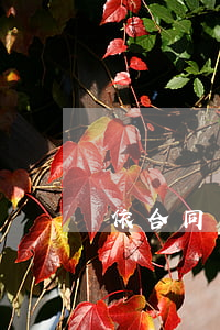 依合同約定付款還被罰款？